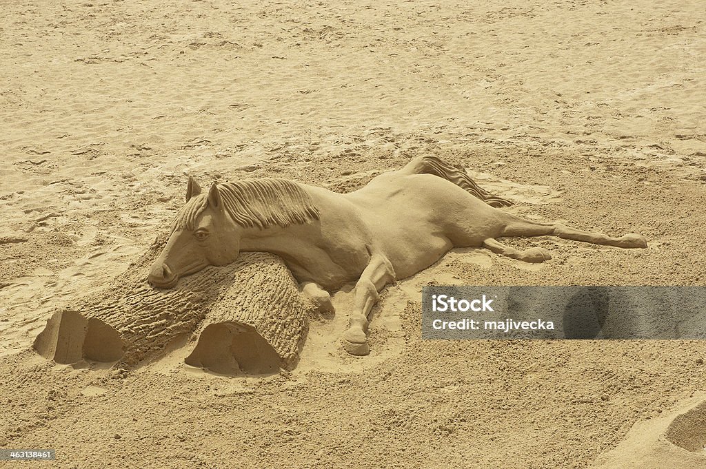 Horse Of The Sand Stock Photo - Download Image Now - Sand Sculpture, Animal,  Horse - iStock