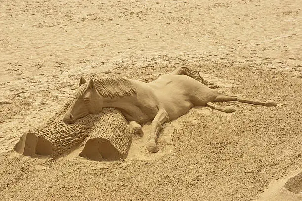 Great horse of sand lying on a log of wood.