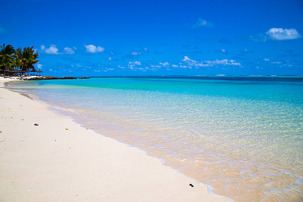 istock white sandy beach of Mauritius 463140091