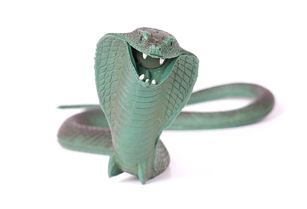 Cobra Rubber Snake