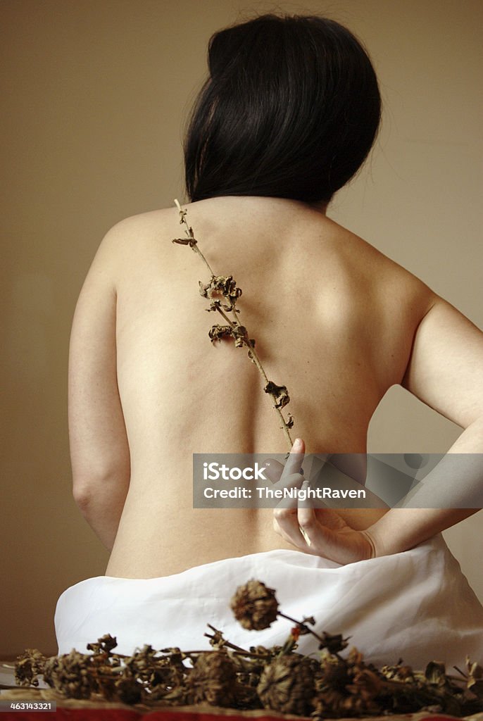 Lyrics of dead flowers A portrait of a woman posing in an awkward position, holding a stem of dead wild flowers across her bare back with some of the flowers gently arrayed beneath her. Adult Stock Photo