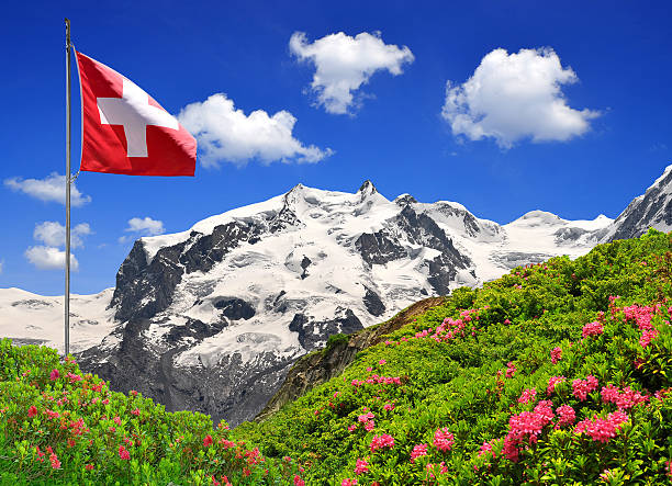 Swiss Uri Alps landscape, Idyllic lake, Pink wildflowers flowerbed, Susten Pass near Andermatt
