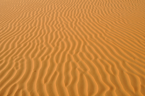 Wind-formed patterns in this collection of sand in the Arabian Desert, Abu Dhabi, UAE