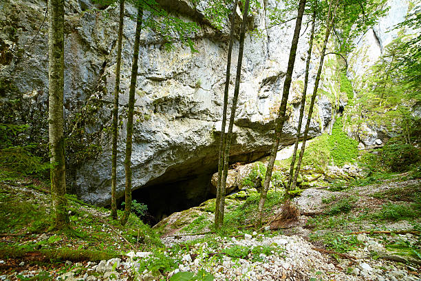 istock The Galbena River Cave in Apuseni mountains 463161573