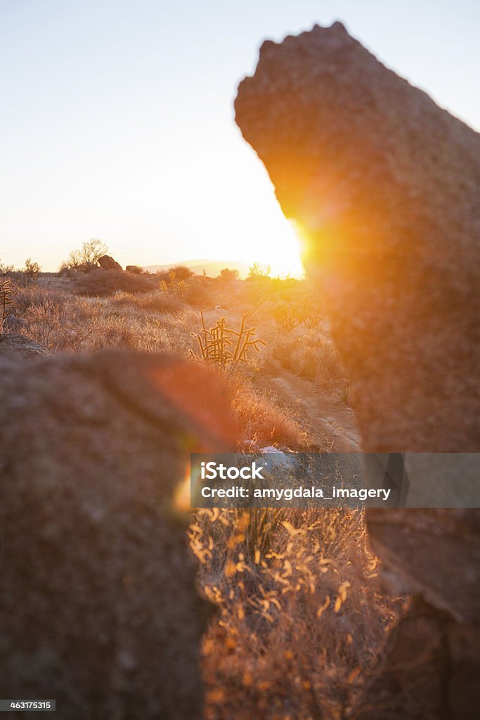 sunset landscape desert rock formation with lens flare sunshine and bushes and cactus at sunset creates beautiful line and form of nature scenery.  vertical wide angle composition taken in the sandia mountains of albuquerque, new mexico. Albuquerque - New Mexico Stock Photo