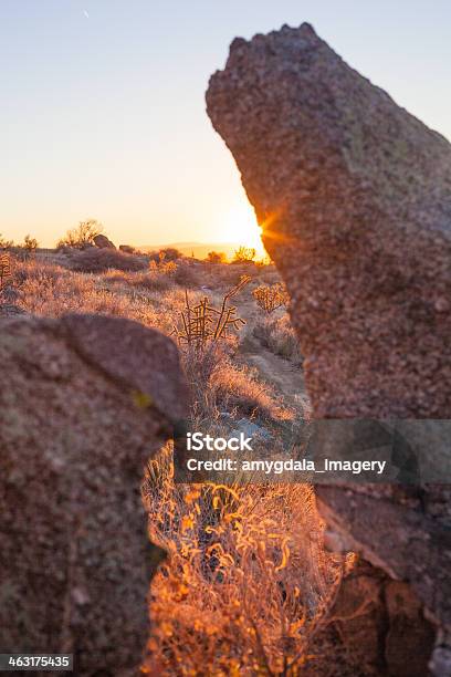 Sonnenuntergang Landschaft Stockfoto und mehr Bilder von Albuquerque - Albuquerque, Bildschärfe, Blendenfleck