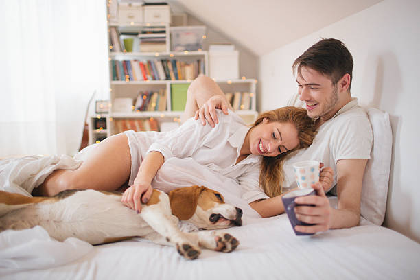 istock Morning joy in a bedroom 463176649