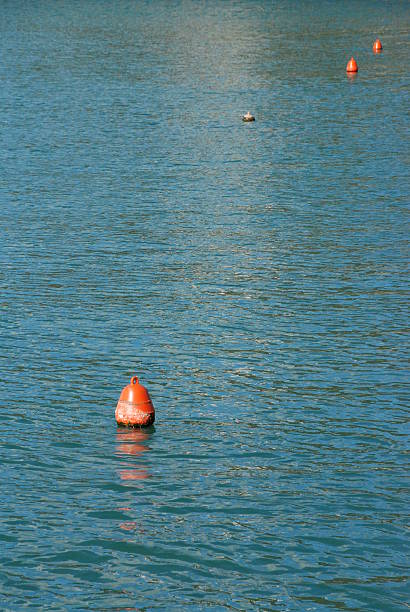 istock Red Buoy in Water 463182257