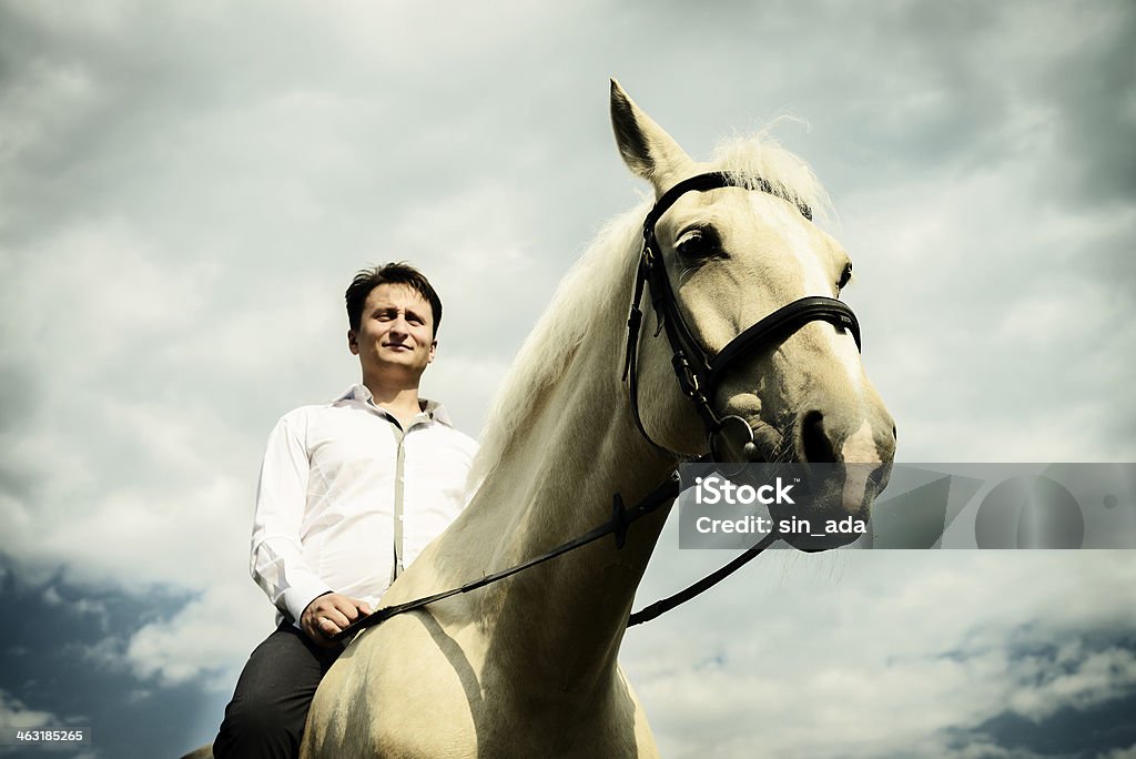 Insolito lo sposo con cavalli su bianco Matrimonio all'aperto - Foto stock royalty-free di Adulto