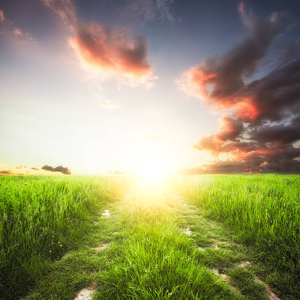 istock Grassy field with the sun peeking out from the clouds 463185405