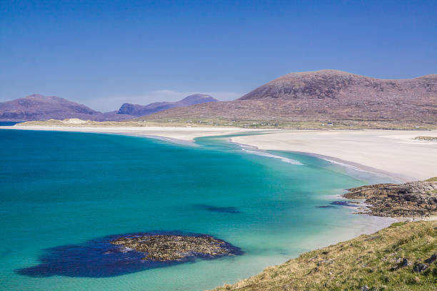 istock Picturesque sand beach 463195747