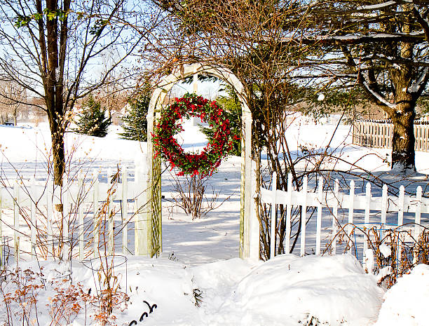 istock Winter in the Garden 463196755