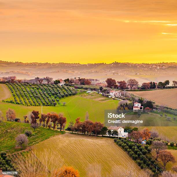 Sunrise Toscana Vineyard - Fotografie stock e altre immagini di Agricoltura - Agricoltura, Ambientazione esterna, Arancione