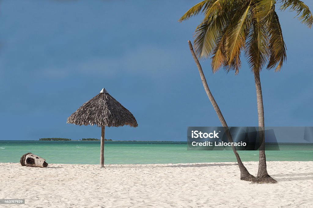 Palm beach - Foto de stock de Aire libre libre de derechos