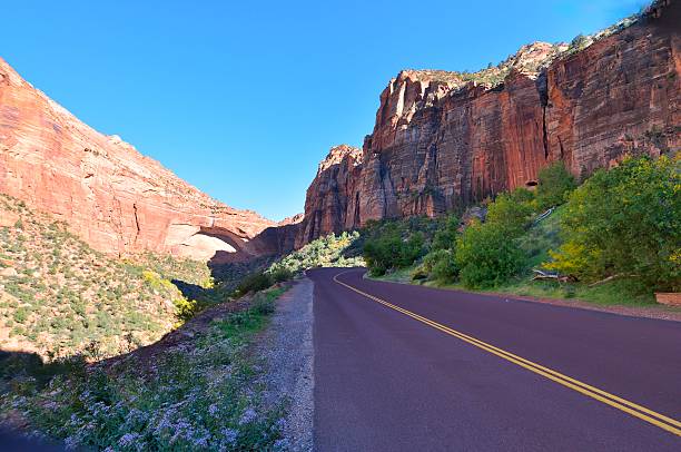 istock Road To Zion National Park 463198131