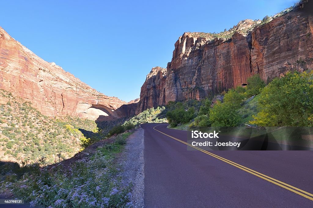 Viagem em Parque Nacional de Zion - Foto de stock de Arenito royalty-free