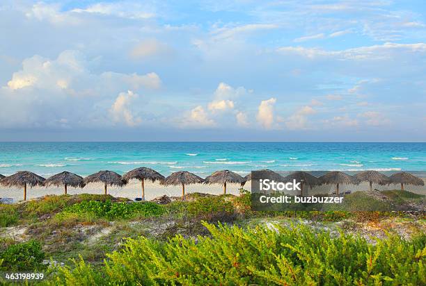 Südliche Karibik Strandpalapas Stockfoto und mehr Bilder von Alles hinter sich lassen - Alles hinter sich lassen, Antigua & Barbuda, Antigua - Inseln unter dem Winde