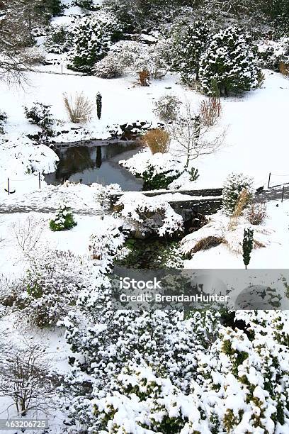 Snowscape Foto de stock y más banco de imágenes de Acantilado - Acantilado, Aire libre, Blanco - Color