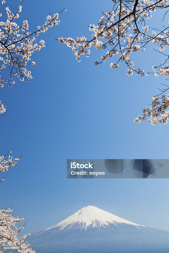 Mount Fuji & Cherry Blossoms Mount Fuji through cherry blossom trees Asian Culture Stock Photo