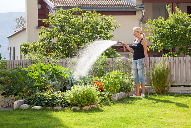полив огород-обеспечение устойчивого образа жизни, - gardening women vegetable formal garden стоковые фото и изображения
