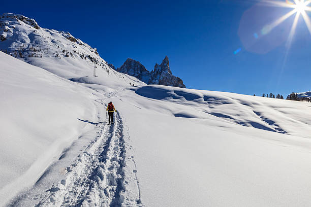 istock Pale di San Martino Natural Park in Winter 463213543