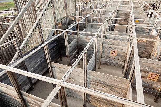 A challenging, wooden maze twists and turns with one way out.  Directional signs posted inside the \