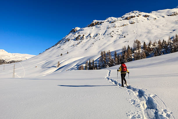 istock Pale di San Martino Natural Park in Winter 463213791