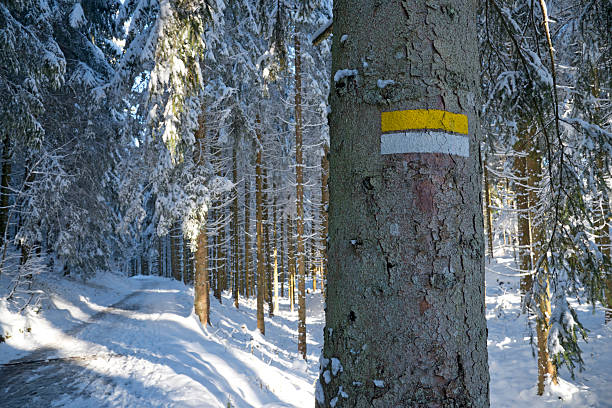 istock Marker of a hiking path 463215017
