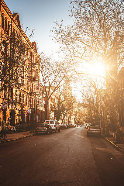 istock Brooklyn brownstones - residential district 463215135
