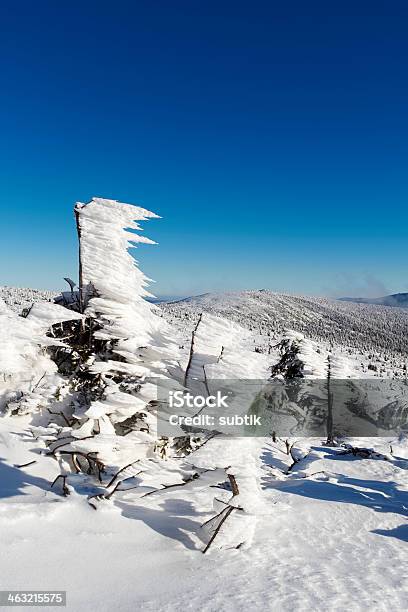 Photo libre de droit de Krkonose Riesengebirge banque d'images et plus d'images libres de droit de Monts Krkonose - Monts Krkonose, Activité de plein air, Arbre