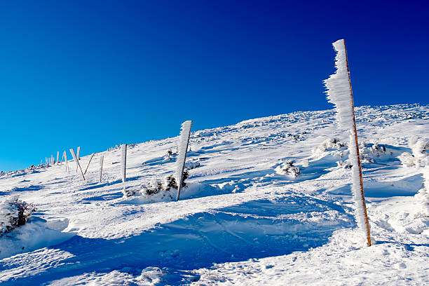 krkonose, riesengebirge - narodni park imagens e fotografias de stock