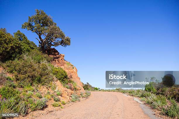 Photo libre de droit de Route De Campagne banque d'images et plus d'images libres de droit de Aller de l'avant - Aller de l'avant, Au milieu de la route, Bleu