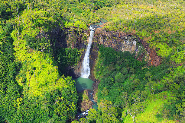 istock Waterfall of Waimea Canyon State Park from above 463221603