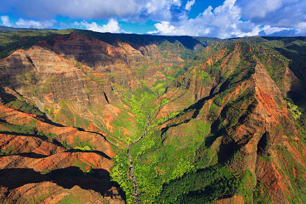 istock Waimea Canyon State Park from above 463221609