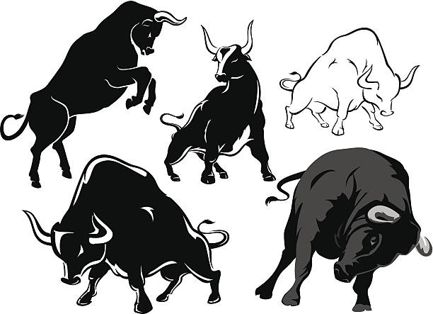 Bull Set Variation of dynamic wild bull, isolated in white background. abhor stock illustrations
