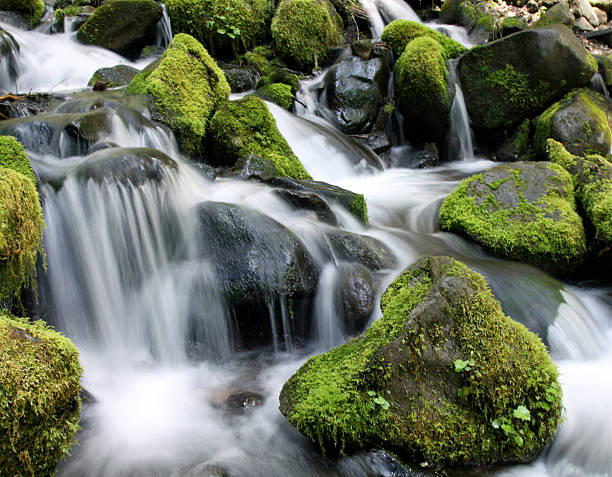 istock Cascades In The Olympic National Park 463225373