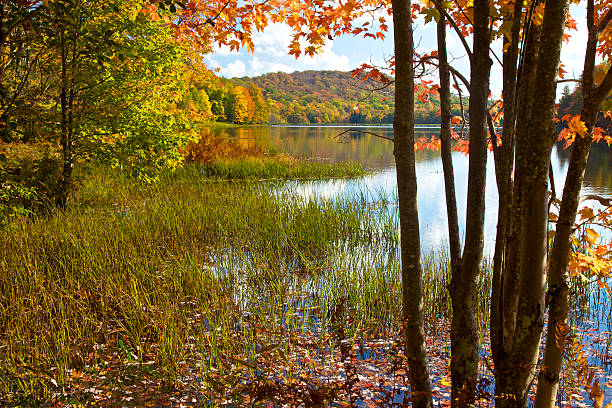 istock Autumn In The Mountains 463226223