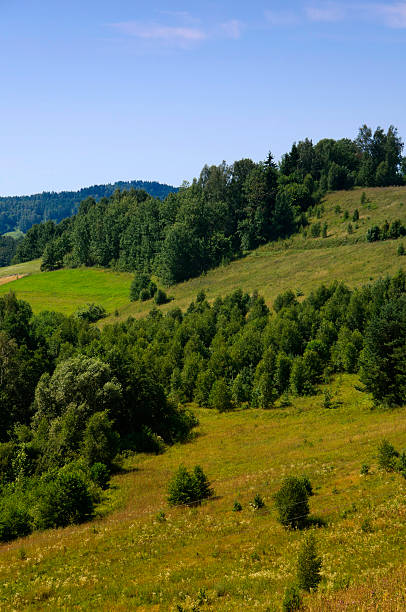 Suwalki Landscape stock photo