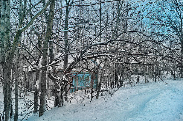 istock Canadian Old barn in a winter landscape 463235035