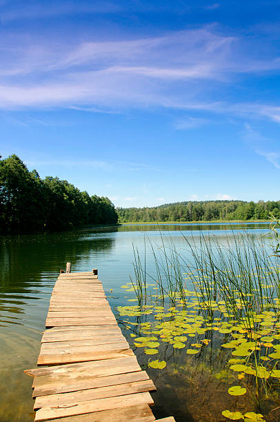 istock Lake Perty. Suwalki Landscape Park. 463236405