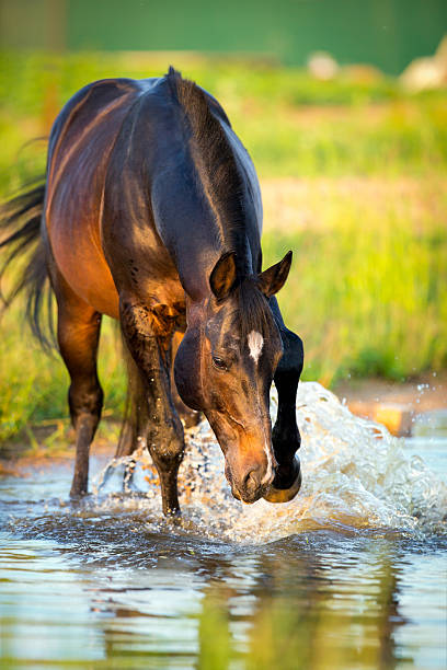 Man is riding horse