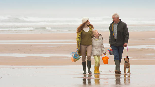 istock Family Walking on the Beach 463243987