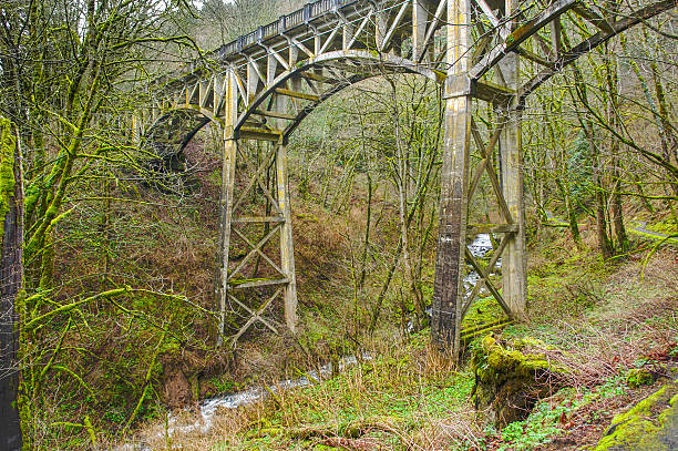 istock Bridge over stream in Columbia River Gorge 463247957