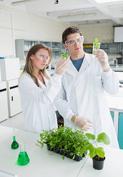 istock Students standing at the laboratory holding plants 463261633