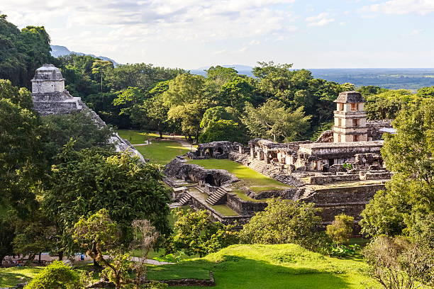 palenque - mayan temple old ruin ancient zdjęcia i obrazy z banku zdjęć