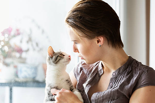 adolescente ragazza e gatto piccolo - backcombed foto e immagini stock