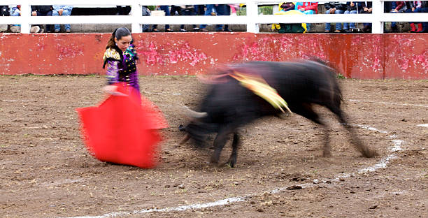 Bullfighter and bull in action Bullfighter and bull in action with motion blur. banderilla stock pictures, royalty-free photos & images