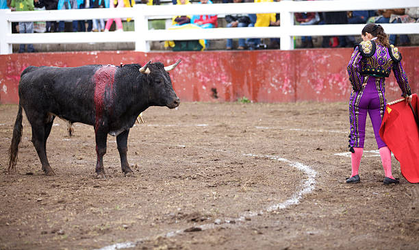 istock Bullfighter and bull in action 463269723