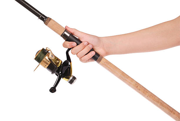 fishing rod, reel in hand, isolated over white background.