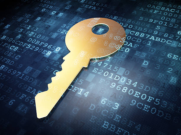 istock Safety concept: Golden Key on digital background 463275989